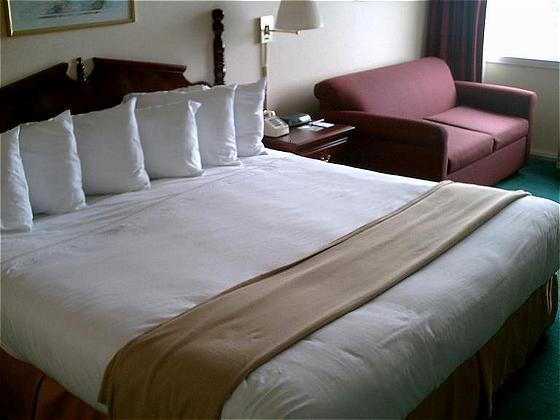 Econo Lodge Inn & Suites Triadelphia - Wheeling Ruang foto